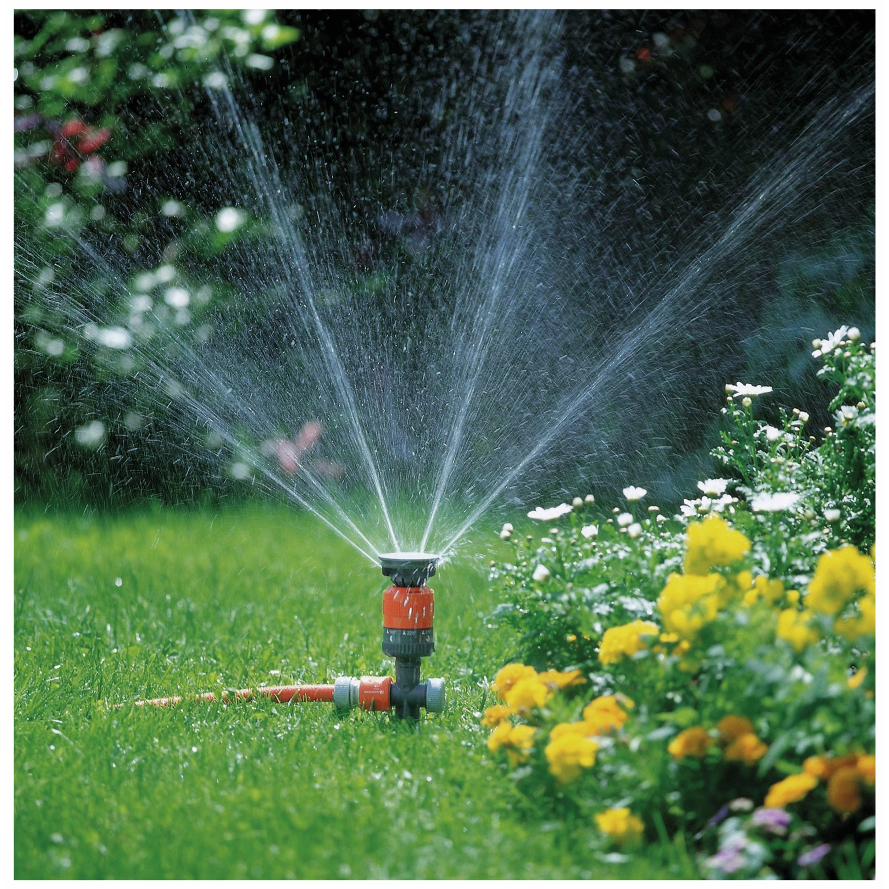 Un irrigatore grigio e arancione spruzza acqua sull'erba accanto a fiori gialli e bianchi.