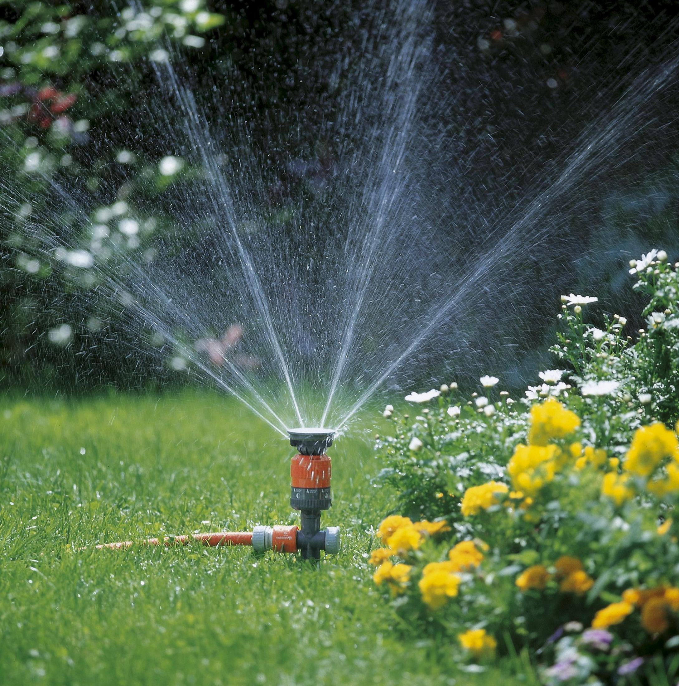 Un irrigatore grigio e arancione spruzza acqua sull'erba accanto a fiori gialli e bianchi.