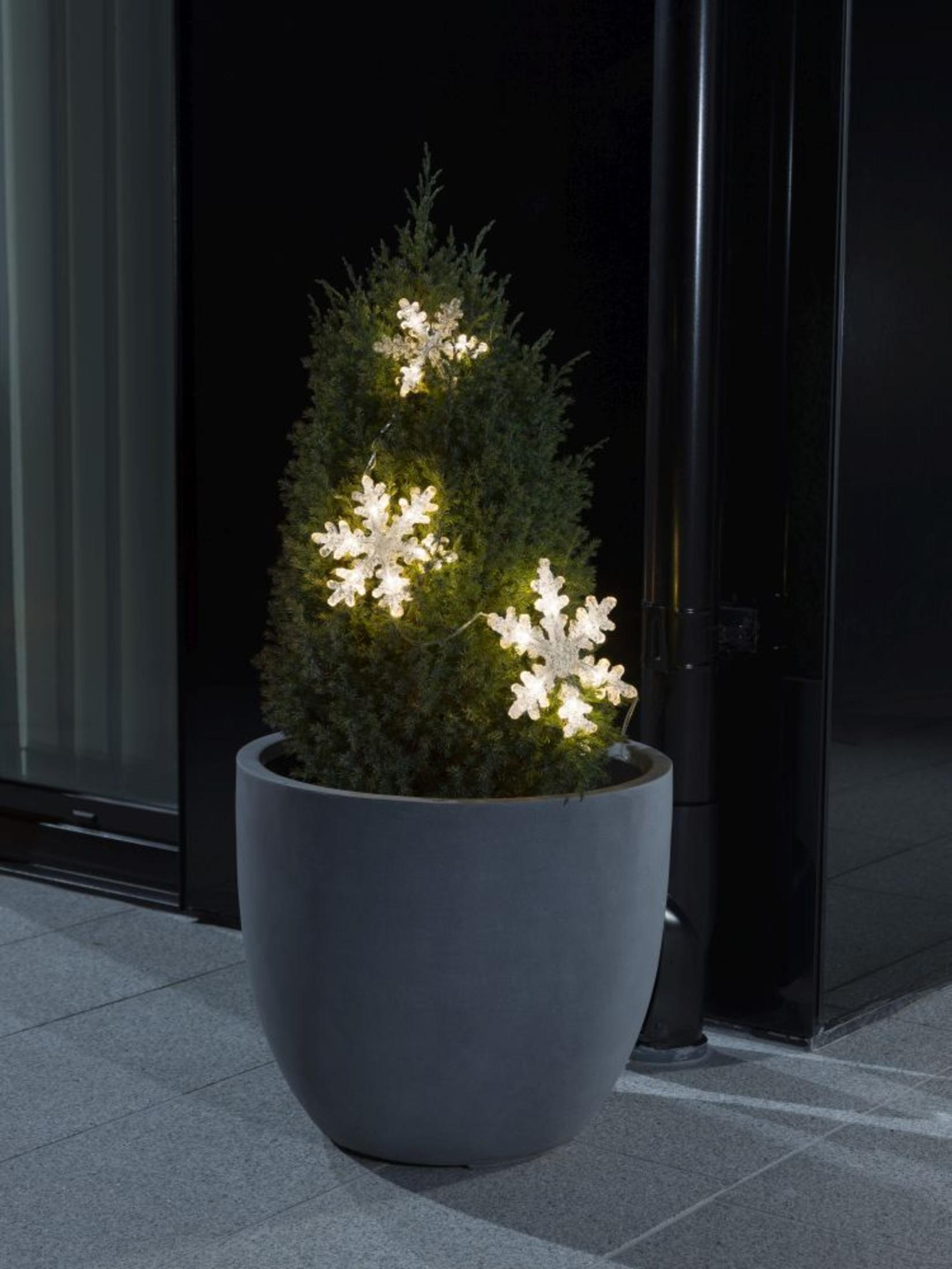 Ein getopfter immergrüner Baum mit Schneeflockenlichtern. Die Szene ist bei Nacht.