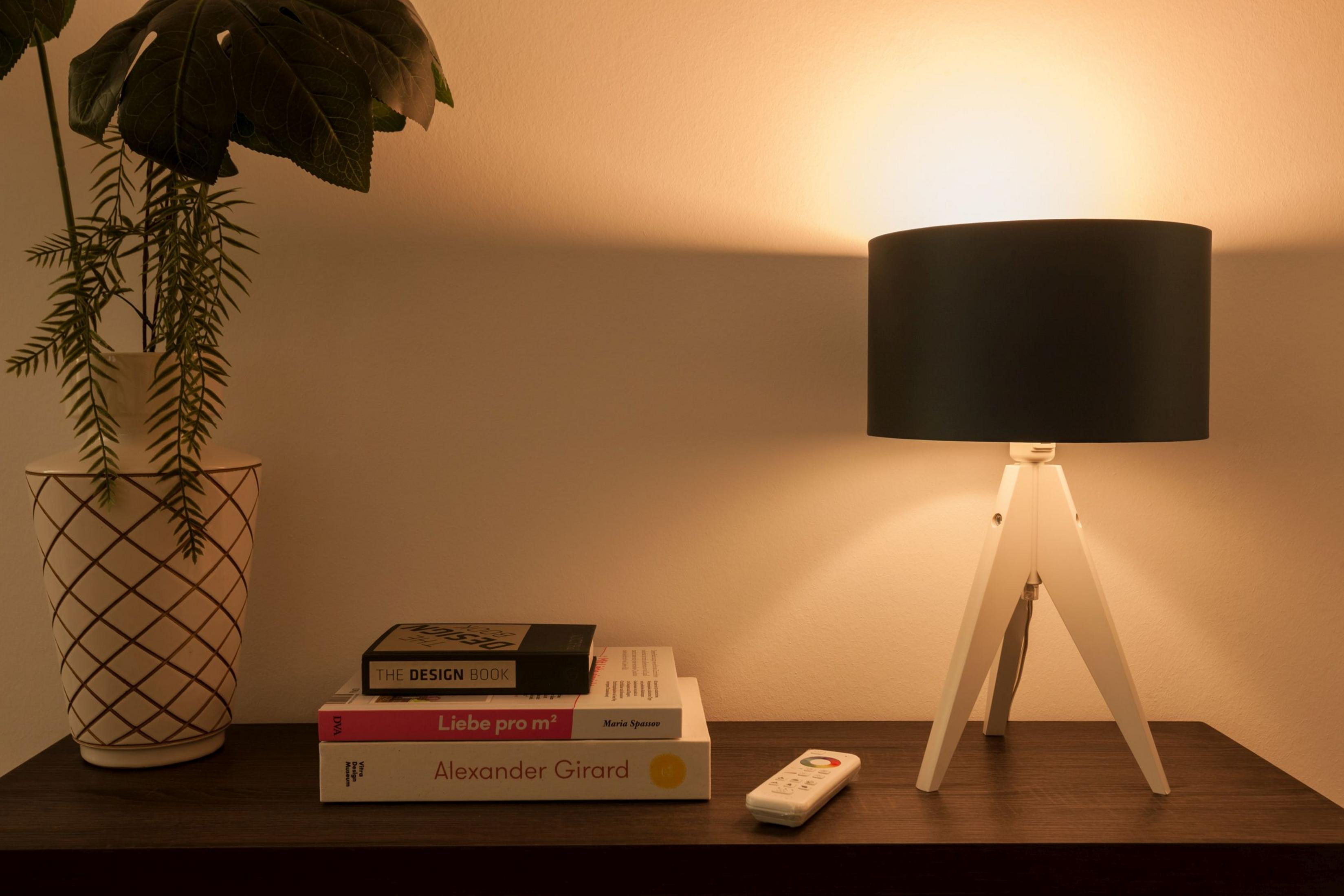 Lampe mit Büchern auf Tisch. Grüne Pflanze links. Fernbedienung vorn.