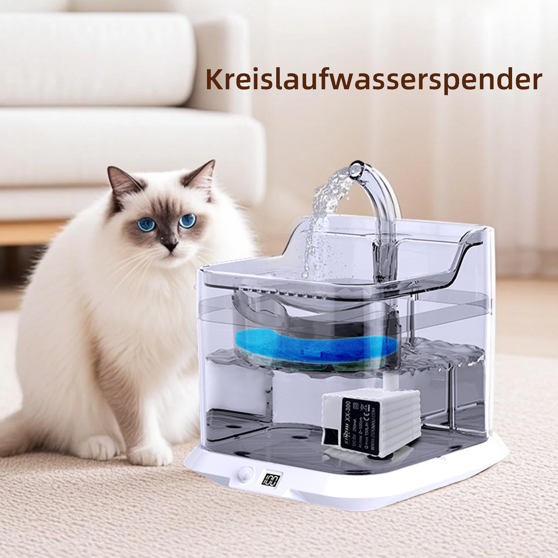 Transparenter, quadratischer Wasserspender mit einer Katze, die das Wasser betrachtet.