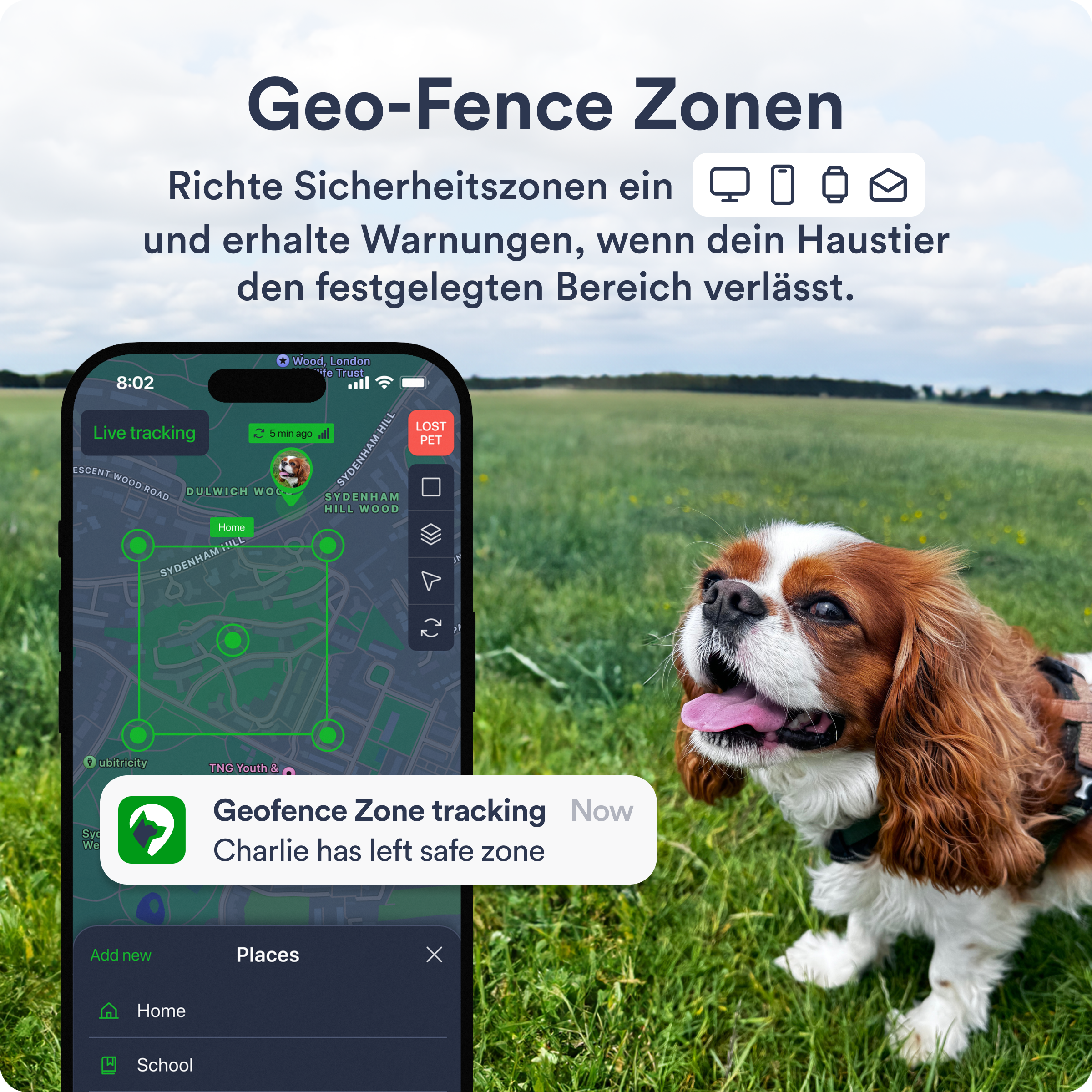Ein Telefon, das eine Karte mit einem Hund im Hintergrund zeigt. Text: Geo-Fence Zonen. Der Hund ist ein Cavalier King Charles Spaniel.