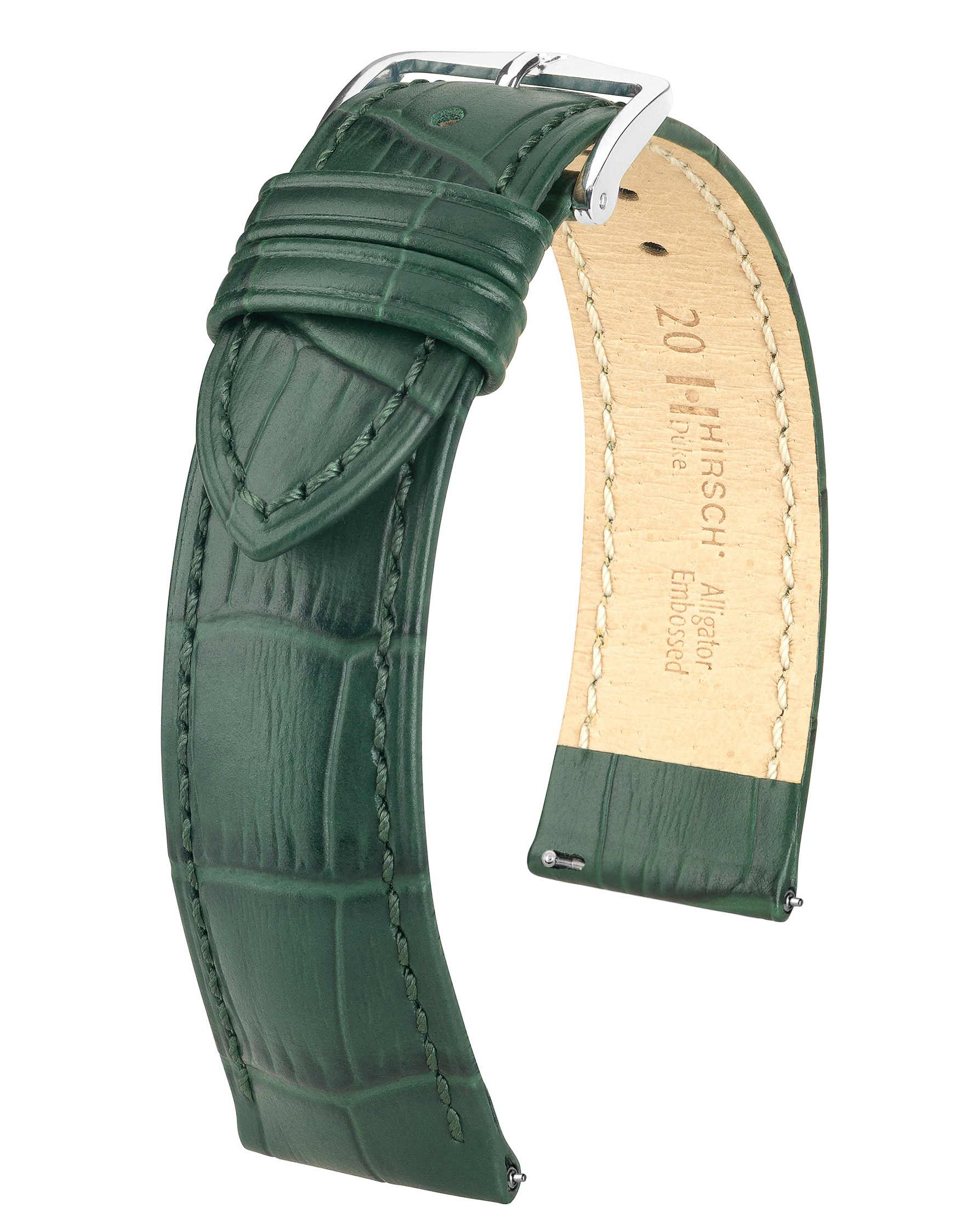 Grünes, geprägtes Alligator-Uhrenarmband. Silberne Schnalle. Beige Innenseite. Gebogene Form.