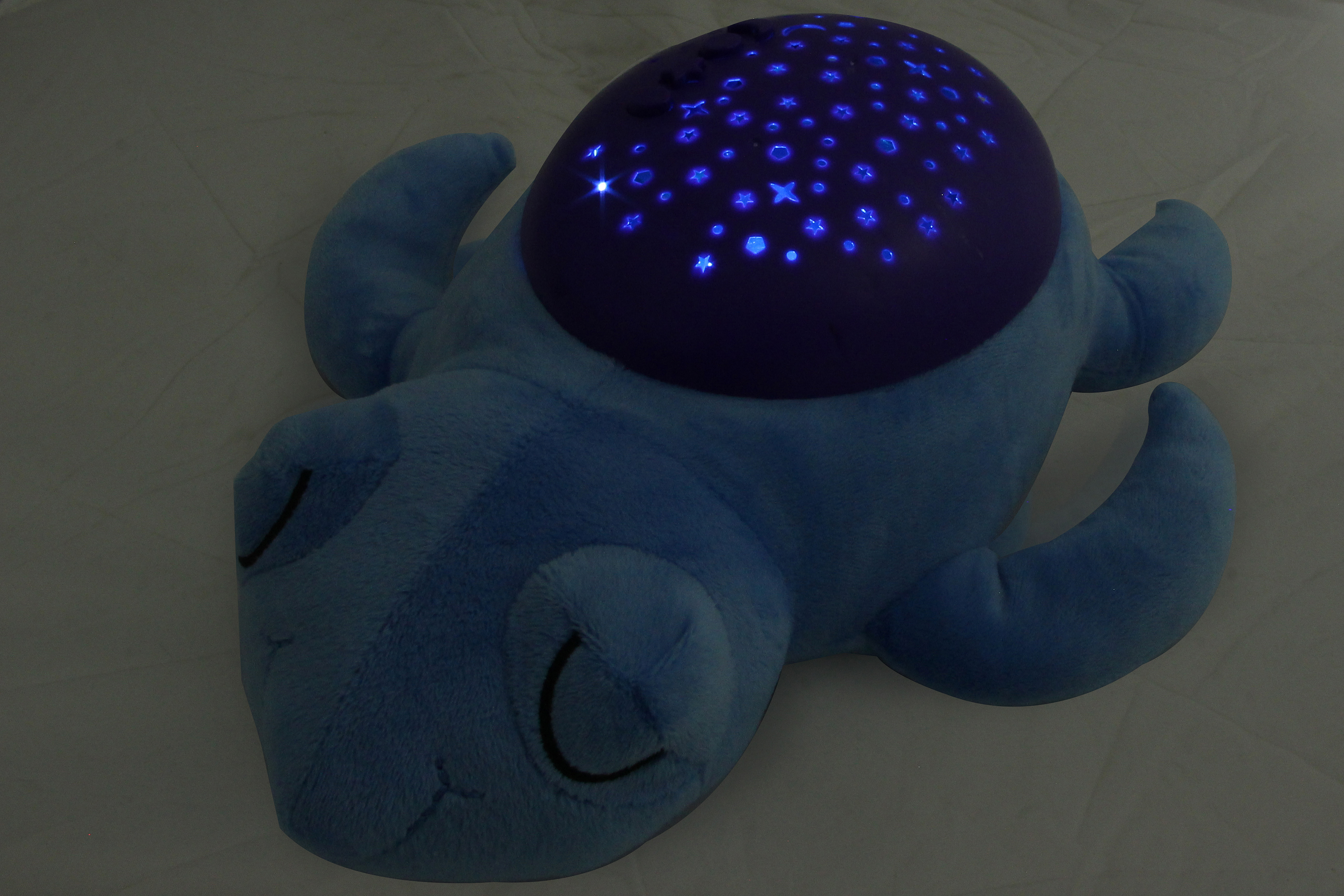 Eine blaue Plüschschildkröte mit einem lila Sternenprojektor auf dem Rücken. Der Projektor projiziert Sterne.