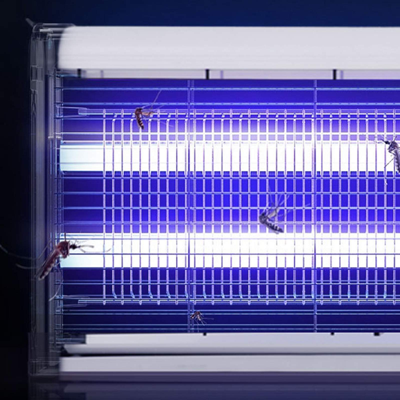 Nahaufnahme eines Insektenvernichters mit UV-Lichtern, mit Insekten im Gitter.