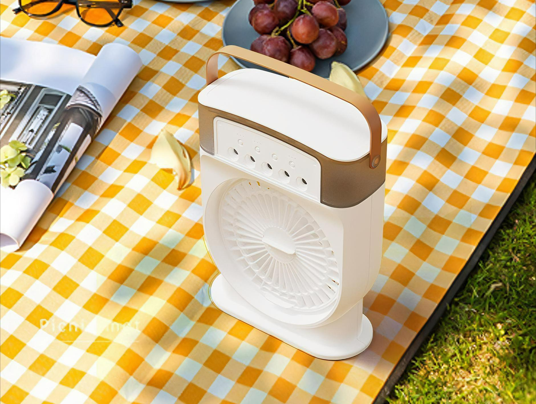 Ein weiß-brauner Ventilator auf einer Picknickdecke. Trauben und Sonnenbrille im Hintergrund.