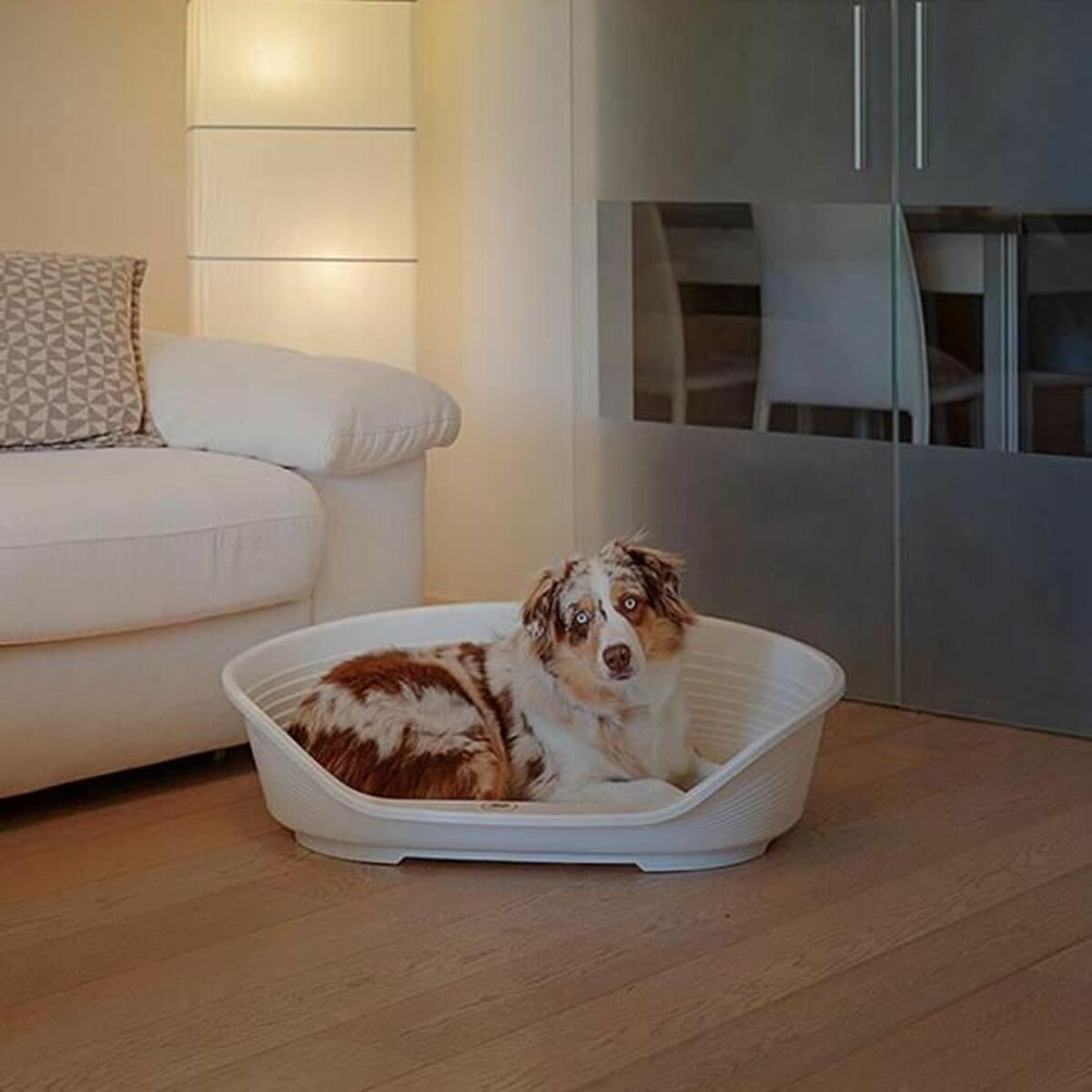 Perro en una cama blanca y marrón, en una habitación con sofá blanco y suelo de madera.