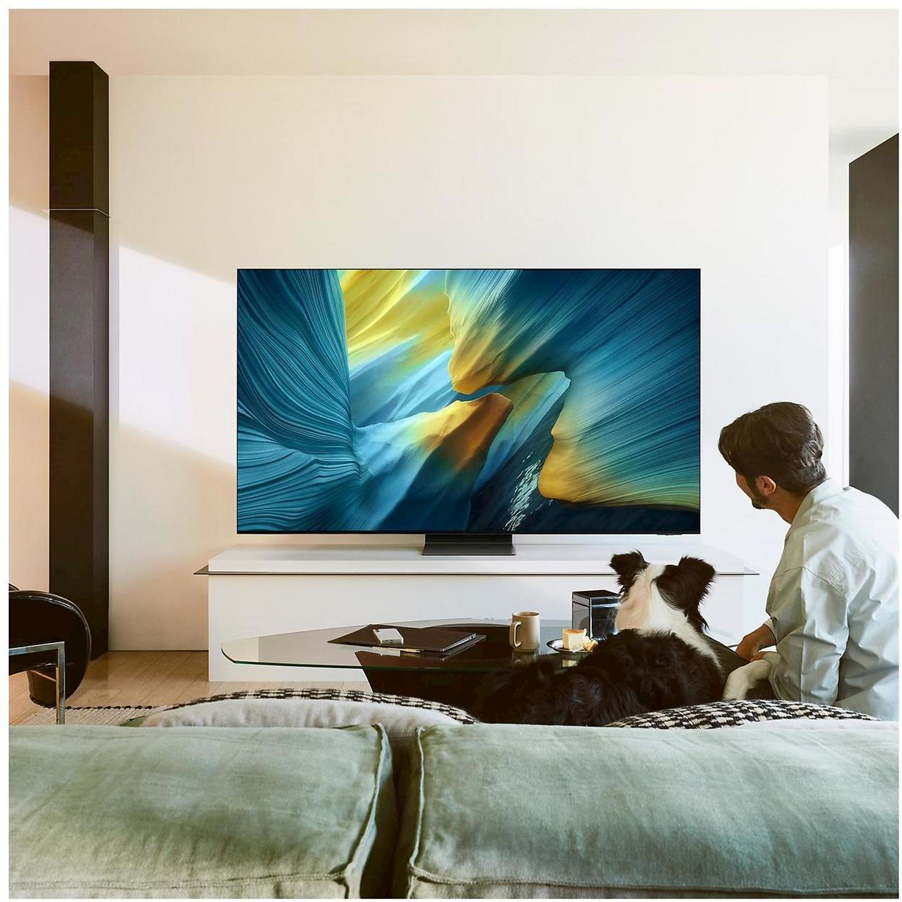 Un uomo e un cane che guardano un televisore Samsung OLED in un salotto.