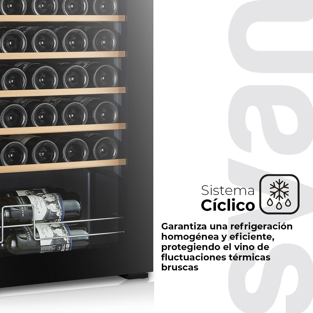 Una vinoteca muestra botellas, destacando su sistema de refrigeración para una temperatura constante, sobre un fondo neutro.