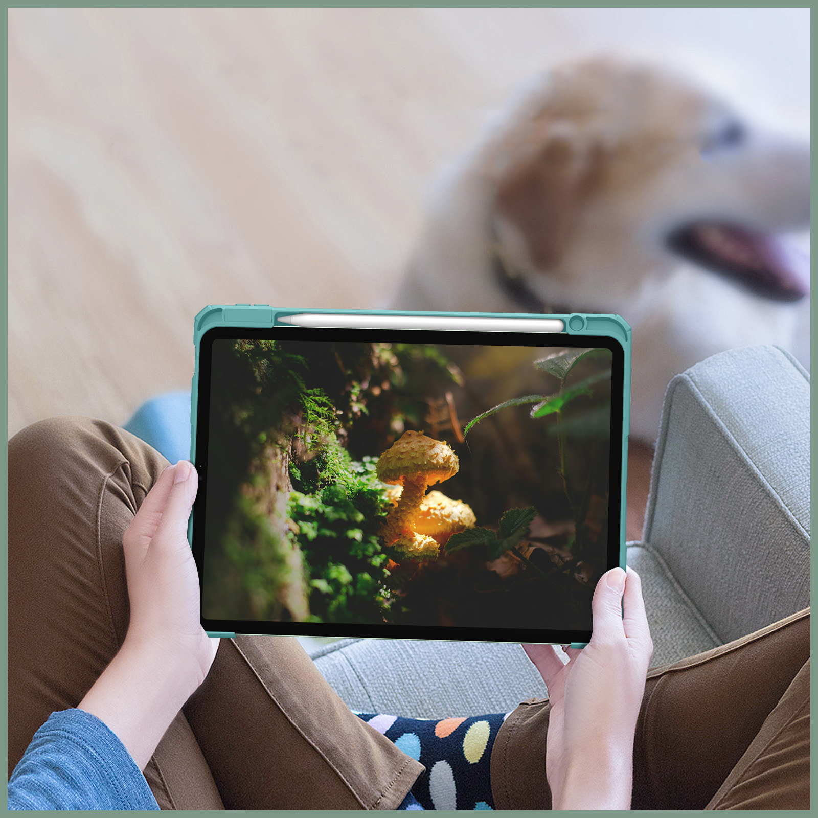 Eine Person hält ein iPad, das ein Pilzbild zeigt. Ein Hund ist im verschwommenen Hintergrund.