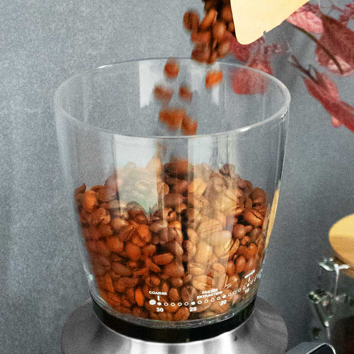 Kaffeebohnen, die in einen Glasbehälter gegossen werden, mit einer Kaffeemühle und Text, der grobe und feine Extraktion anzeigt.