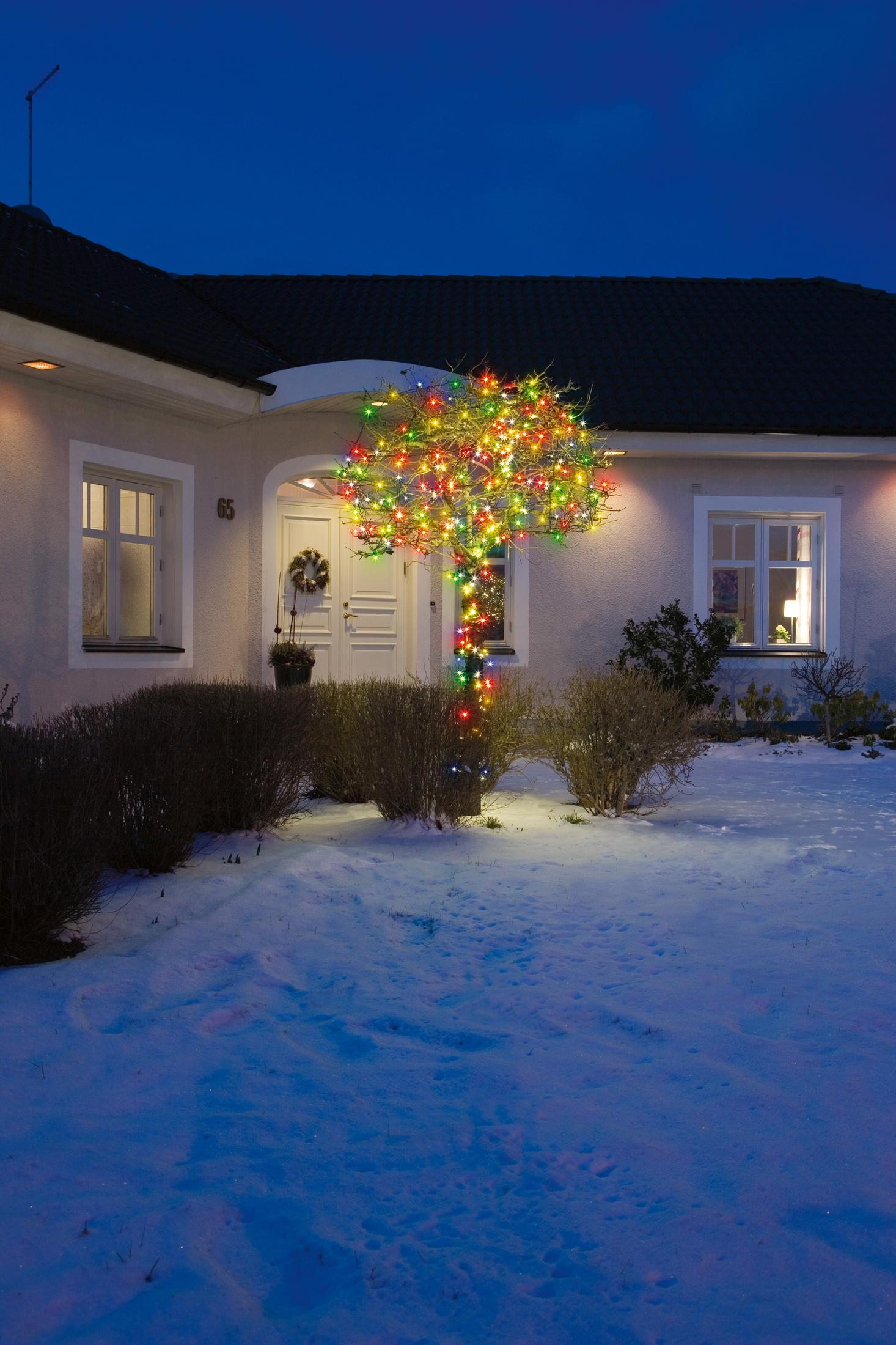 Un albero decorato con luci natalizie di fronte a una casa di notte. La neve copre il terreno.
