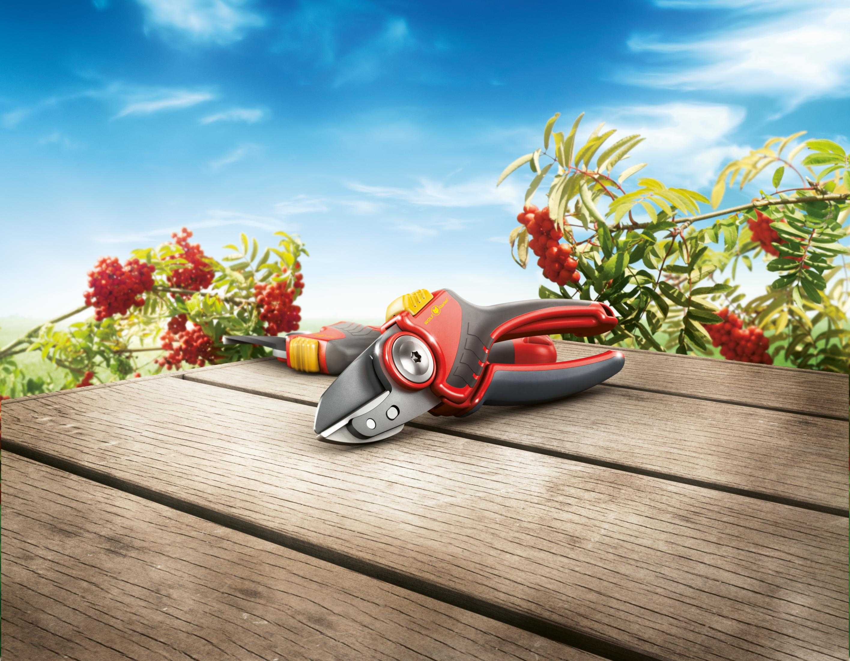 Gartenscheren auf einem Holztisch mit blauem Himmel und roten Beeren im Hintergrund. Die Scheren sind rot und schwarz.