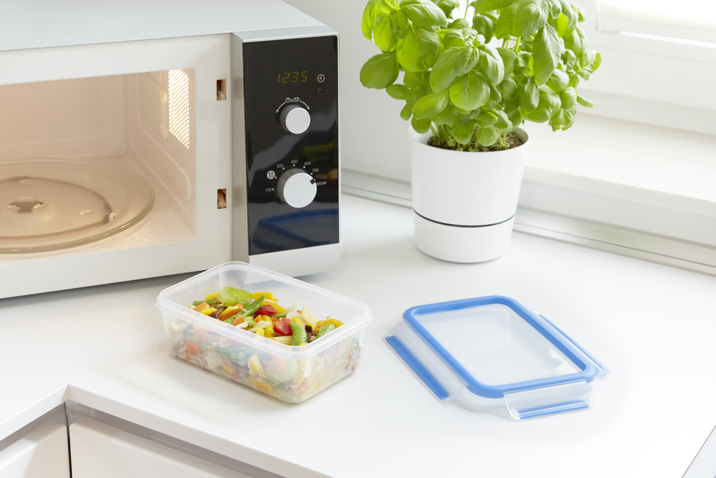Un horno microondas está junto a una planta en maceta. Un recipiente de comida delante.