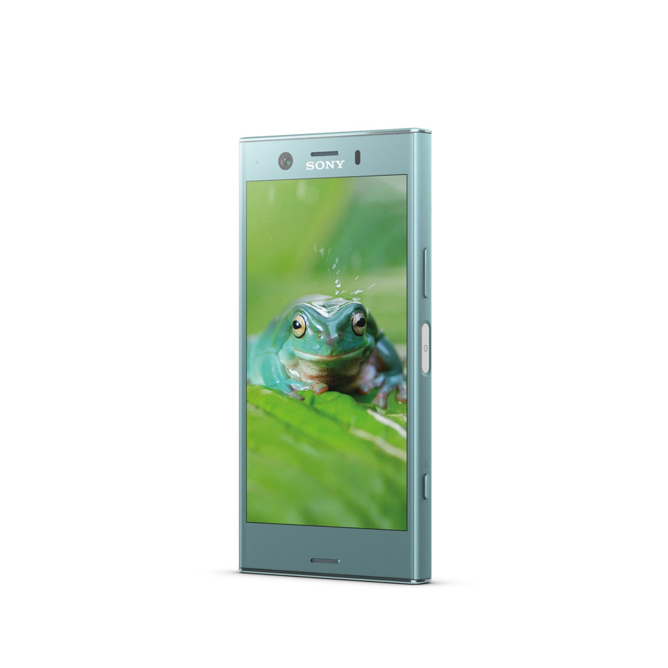 Mintgrünes Telefon mit Frosch auf dem Bildschirm. Das Telefon ist auf weißem Hintergrund isoliert.