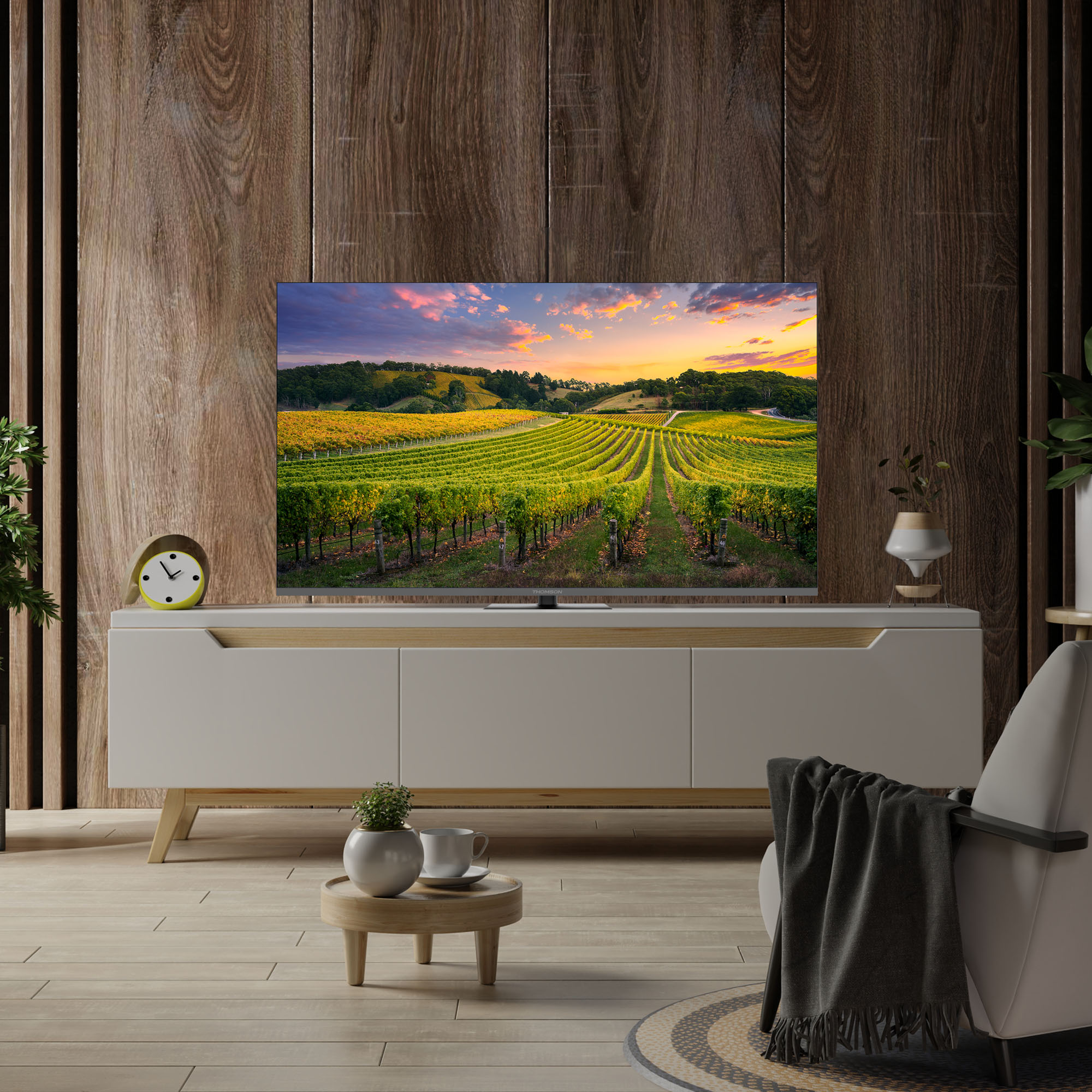 TV su mobile bianco, mostra vigneto. Orologio e piante di lato.