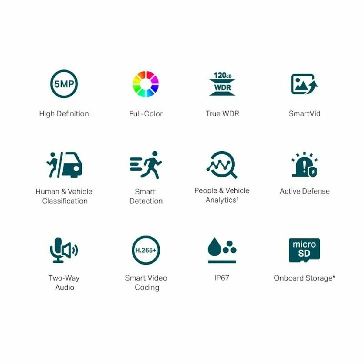 Grafika z ikonami reprezentującymi funkcje kamery, takie jak wysoka rozdzielczość, pełny kolor, WDR, inteligentne wideo i inne.