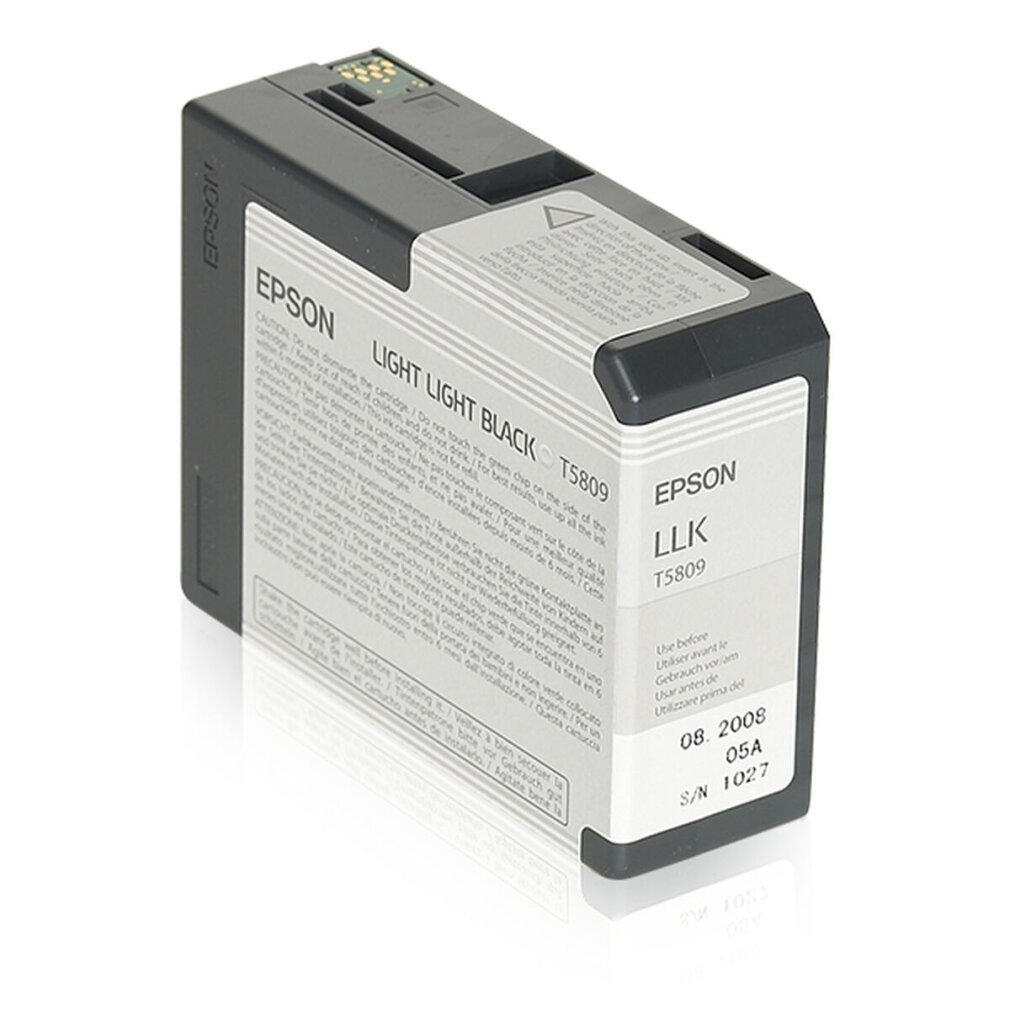 Epson Light Light Black Tintenpatrone. Schwarz und grau mit weißen Etiketten und Text. Verfallsdatum.