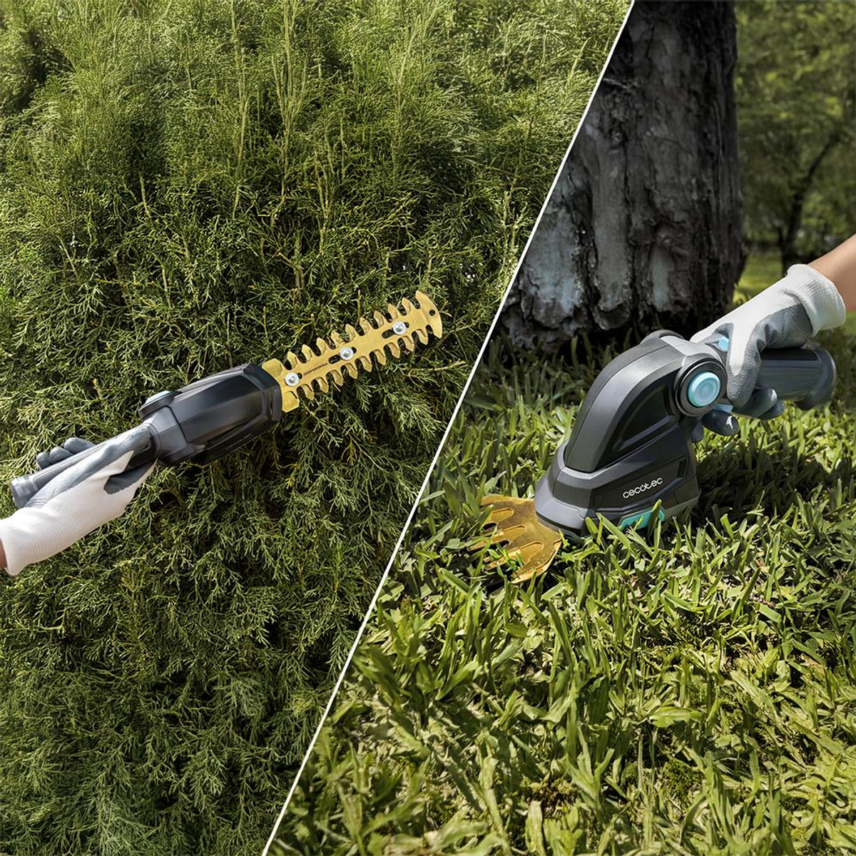 Dos imágenes: persona podando un arbusto con un cortasetos, y cortando césped. Herramientas y paisaje verde.