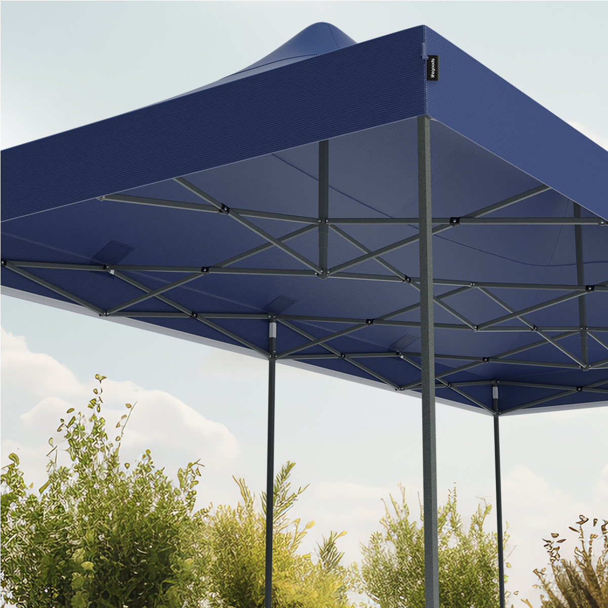 A blue pop-up canopy with a dark frame. The canopy is over green bushes, with a sky background.