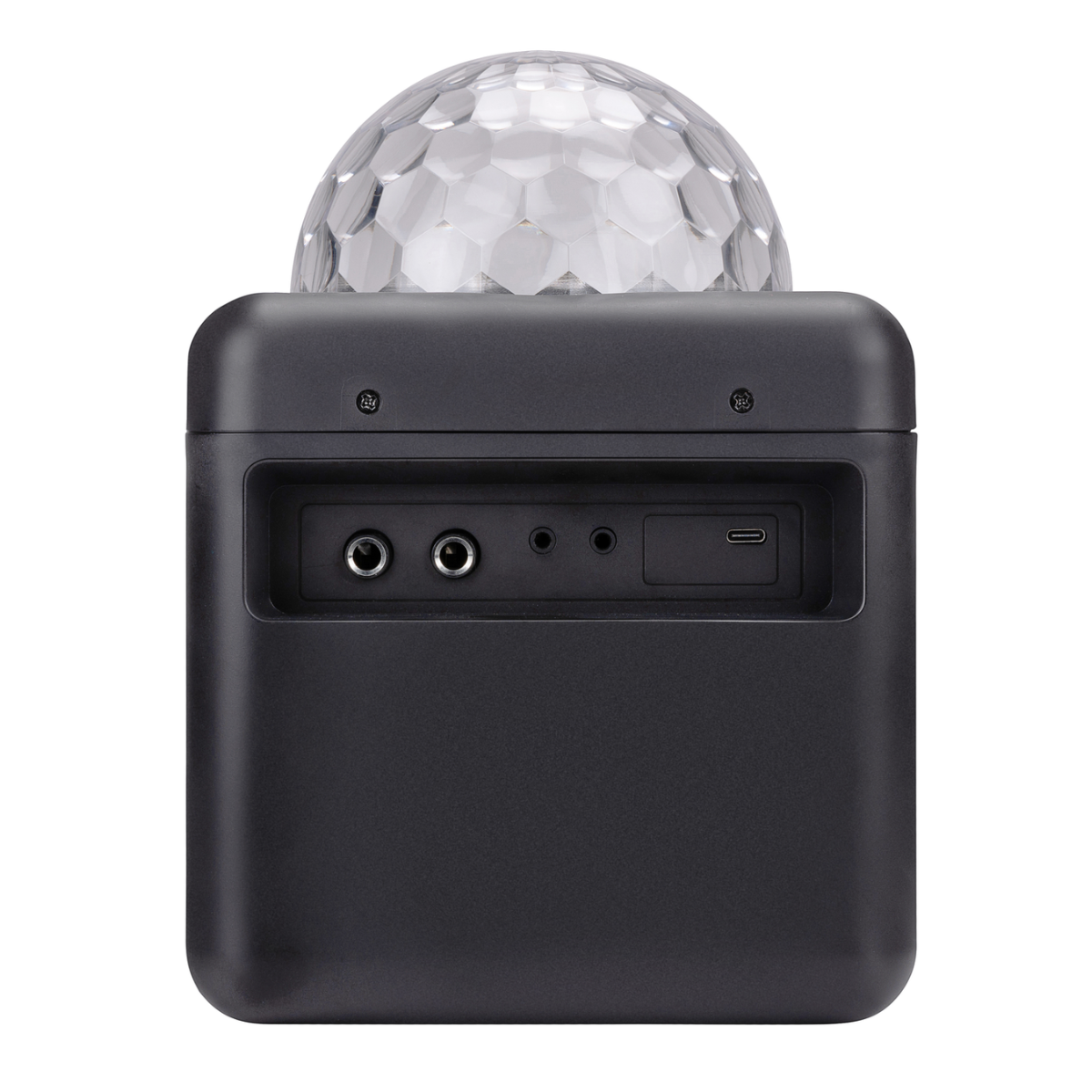 Het achterpaneel van een zwarte luidspreker heeft poorten voor audio-ingang en USB-C-opladen.