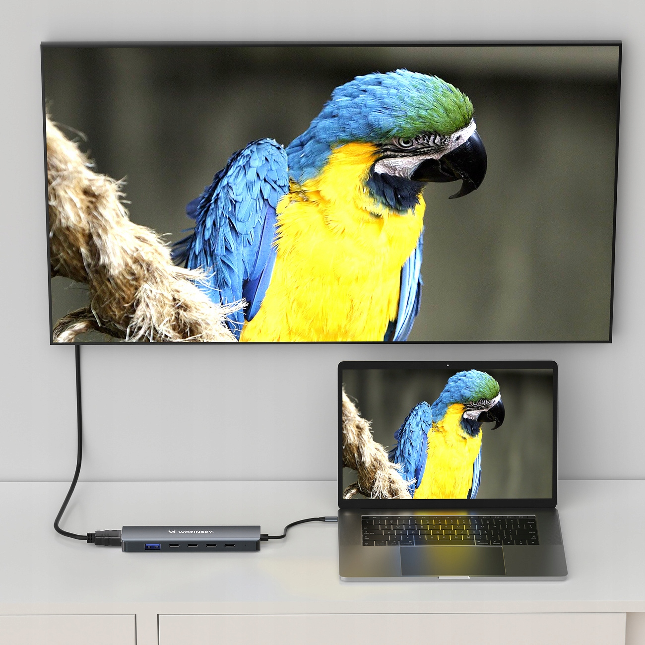 Laptop i telewizor są podłączone do huba USB. Obraz papugi jest wyświetlany na obu ekranach.