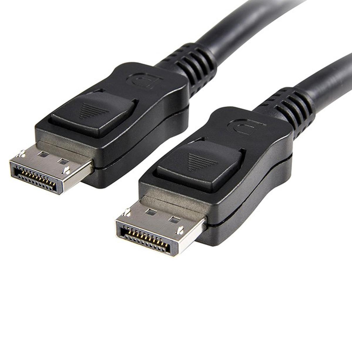 Due cavi DisplayPort neri con connettori. Sfondo bianco.