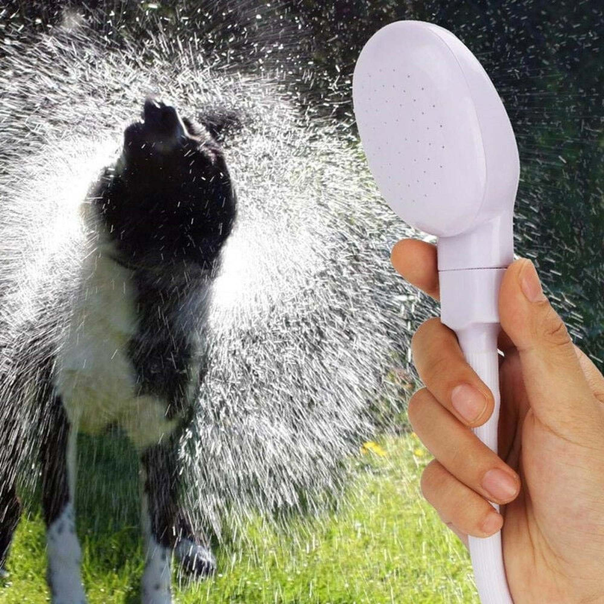 Ein Hund wird mit Wasser aus einem Duschkopf besprüht. Der Hund ist schwarz und weiß, und der Hintergrund ist grünes Gras.