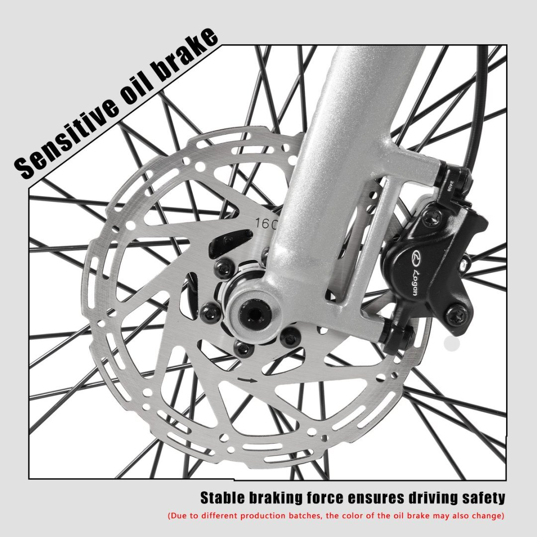 Nahaufnahme einer Fahrrad-Scheibenbremse. Text: Empfindliche Ölbremse, stabile Bremskraft.