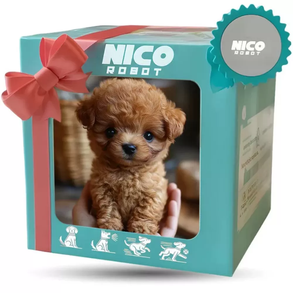Ein Welpe sitzt in einer Box mit Schleife. Die Box hat ein 'NICO ROBOT' Logo und Hunde-Icons.