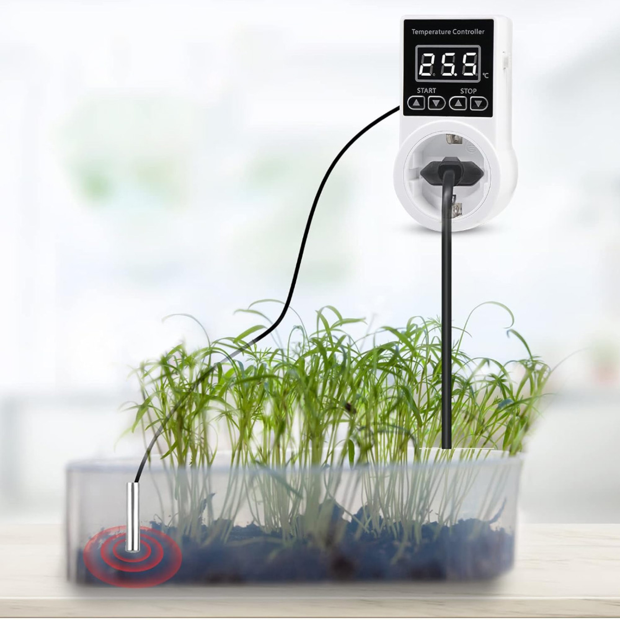 Ein Temperaturregler mit digitaler Anzeige ist an eine Steckdose über einer Schale mit grünen Pflanzen angeschlossen. Ein Sensor befindet sich im Boden.