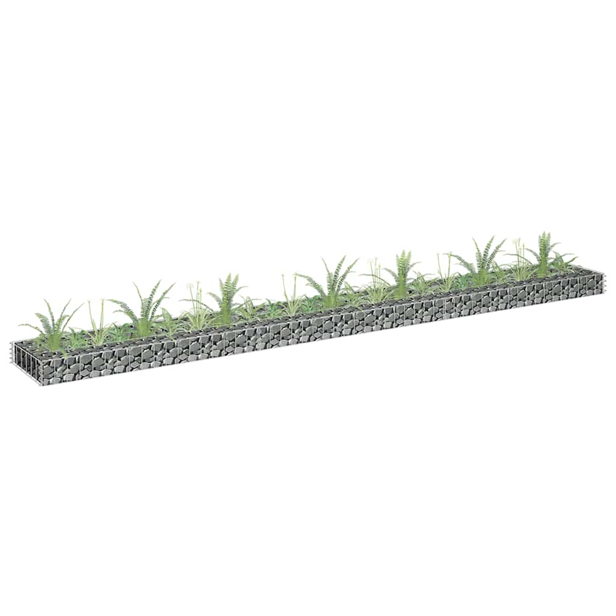 Langer, schmaler Gabionen-Pflanzer gefüllt mit Pflanzen und Gras. Es ist eine rechteckige Form.