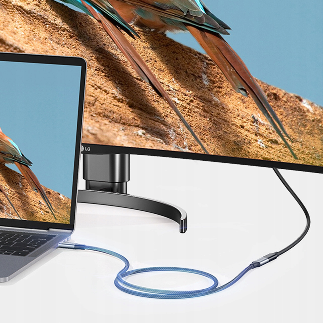 Un laptop è collegato a un monitor tramite un cavo blu. Il monitor mostra uccelli su un albero.