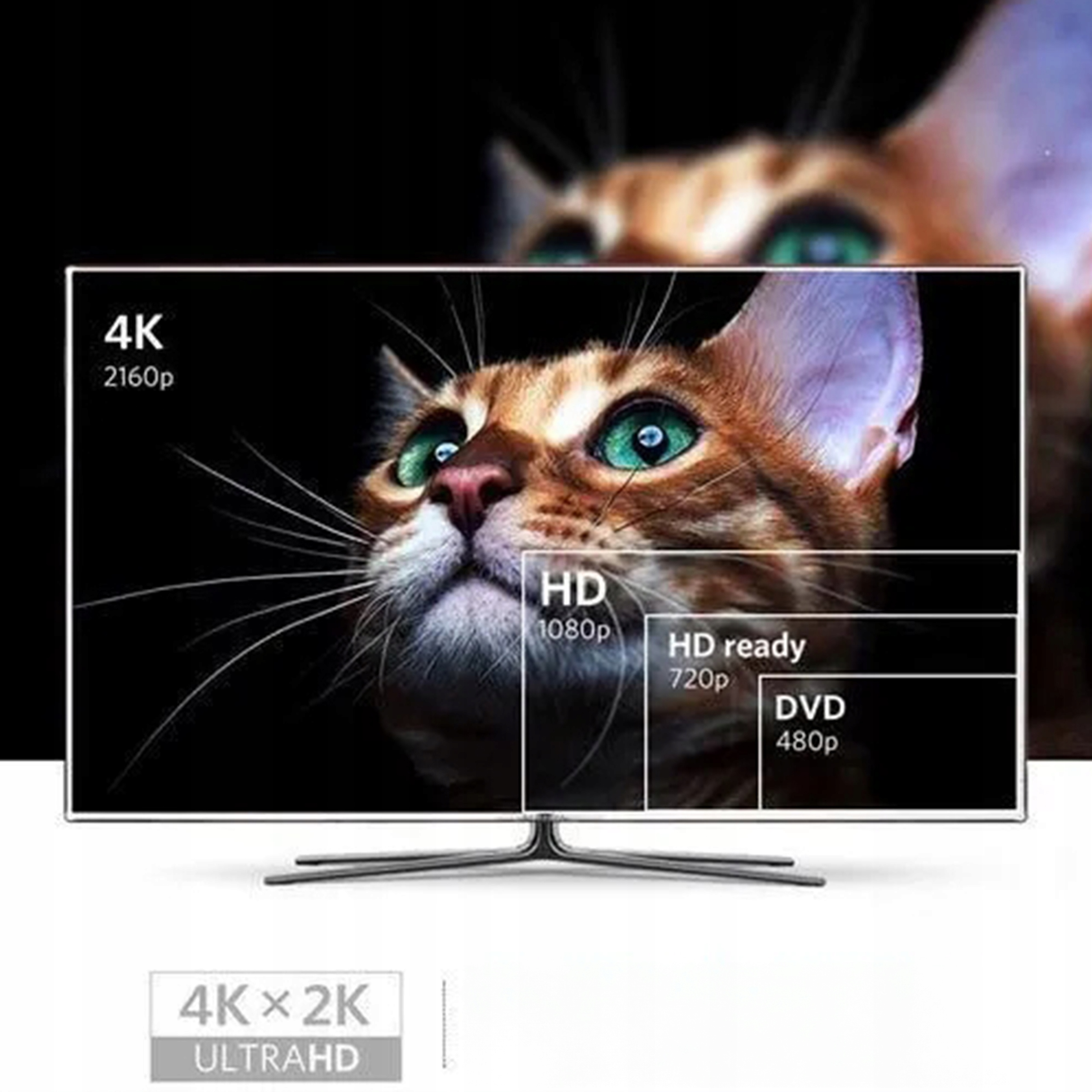 Ekran telewizora wyświetlający obraz kota z różnymi etykietami rozdzielczości: 4K, HD, HD ready i DVD.