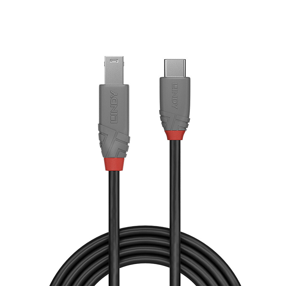 Zwei schwarze Kabel mit unterschiedlichen Anschlüssen: einmal USB-C und einmal für ältere Geräte, beide mit roten Akzenten.