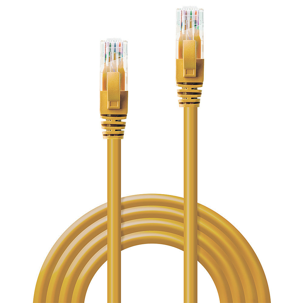 Deux câbles réseau jaunes avec connecteurs RJ45, enroulés et droits.