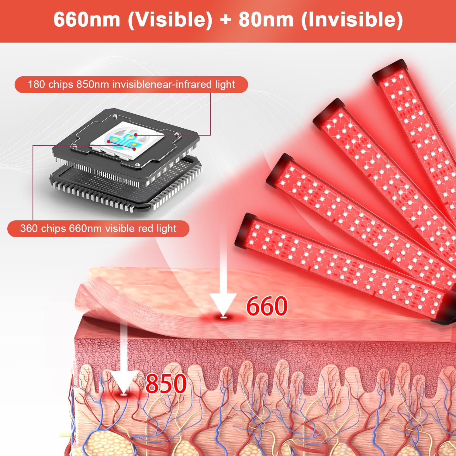 Diagramm, das die Rotlichttherapie und ihre Wirkung auf die Hautschichten zeigt. 660 nm und 850 nm Licht ist gezeigt.