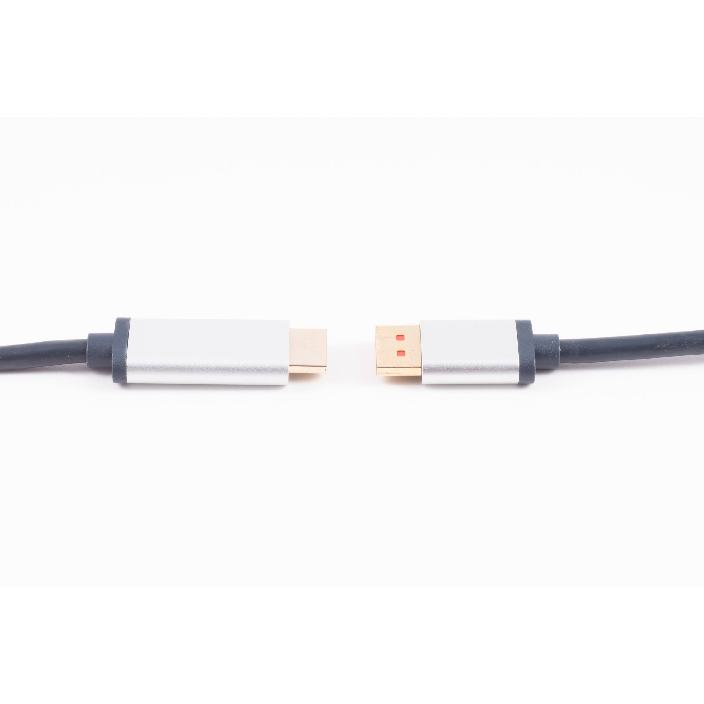 Zwei silberfarbene Anschlüsse. Einer ist USB-C, der andere ist DisplayPort.