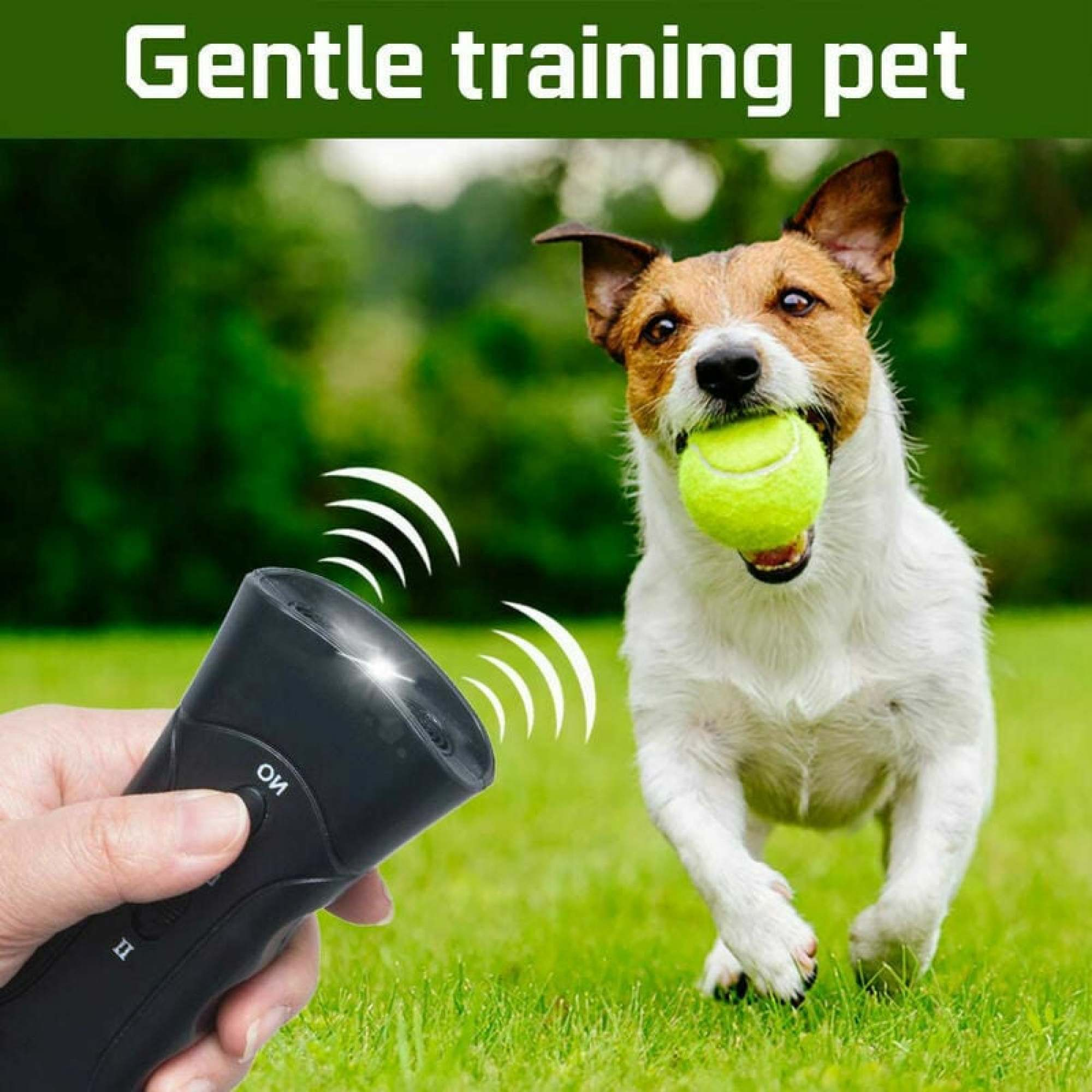 Ein Hund rennt mit einem Tennisball im Maul, während eine Hand ein schwarzes Trainingsgerät hält. Text: 'training pet'.