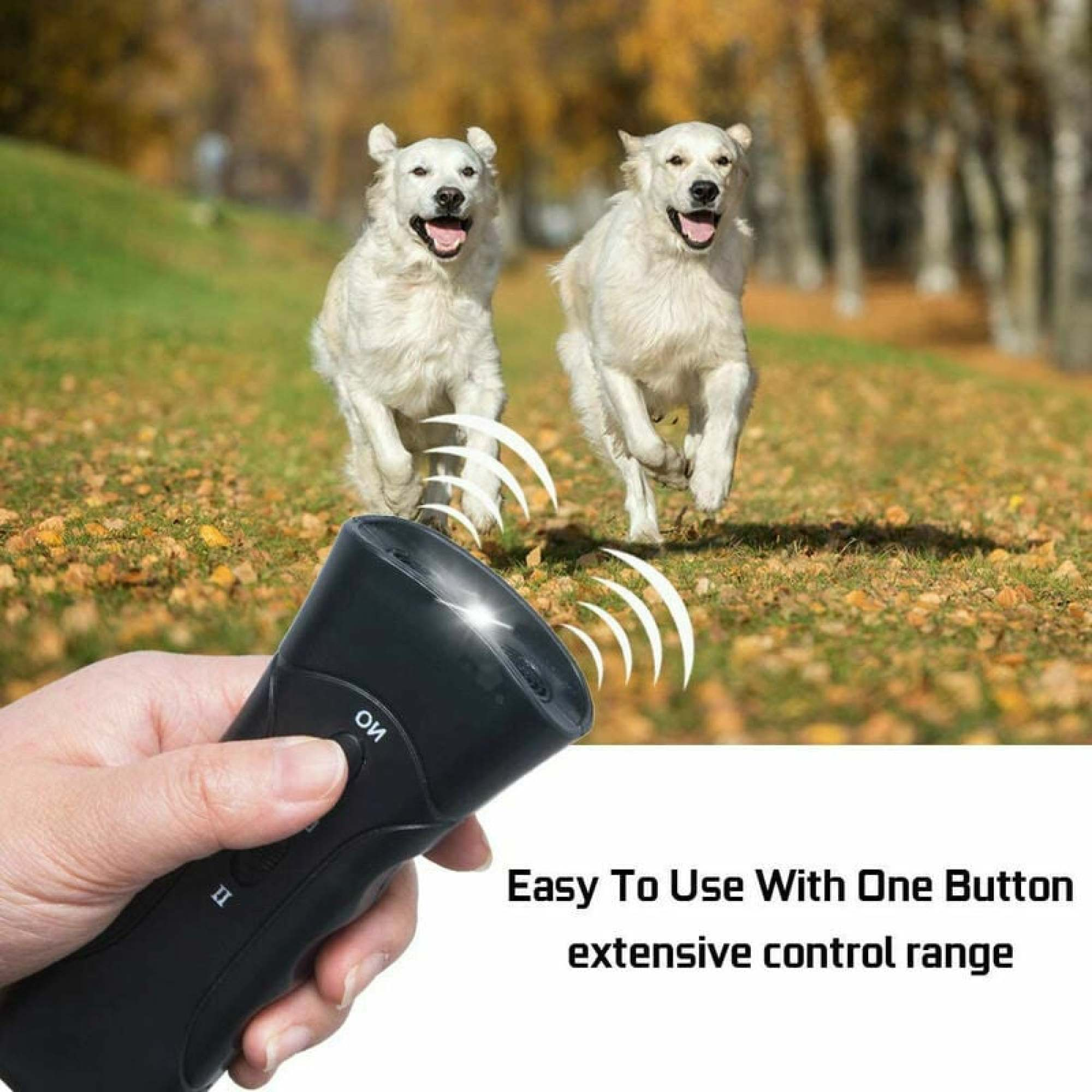 Zwei weiße Hunde rennen auf die Kamera zu. Eine Hand hält ein schwarzes Trainingsgerät mit Text: 'Easy To Use'.