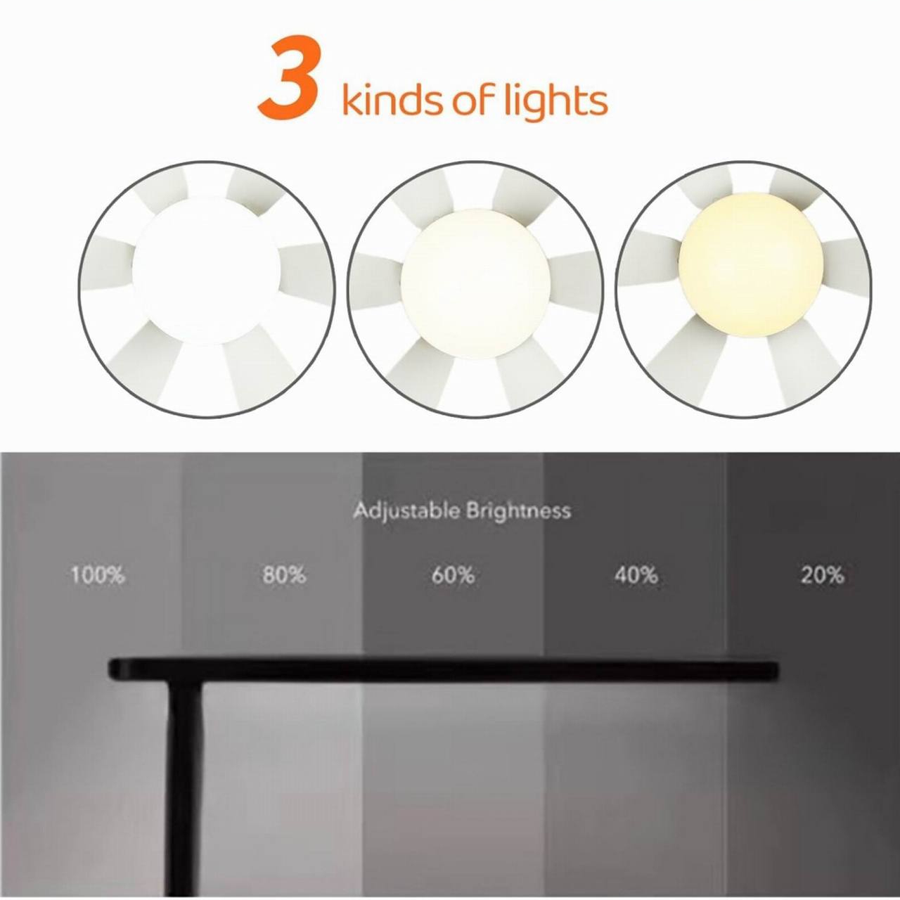 Drei Lichtoptionen: nur Lüfterflügel, nur Licht und beides. Einstellbare Helligkeitsstufen von 100 % bis 20 %.