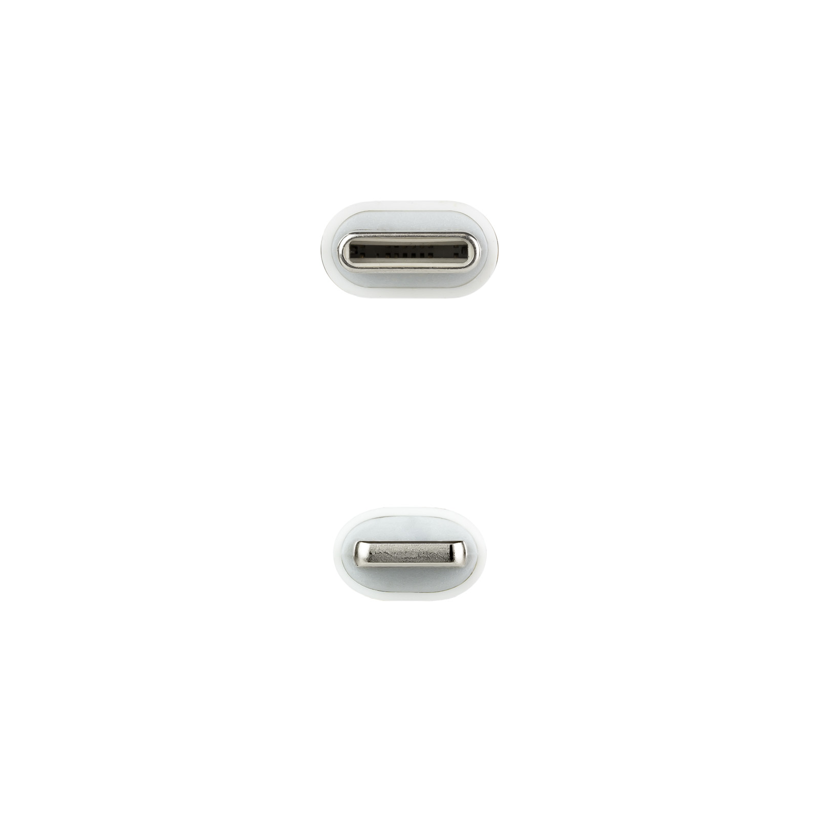 Dos conectores USB-C blancos, vistos de frente, sobre un fondo blanco.
