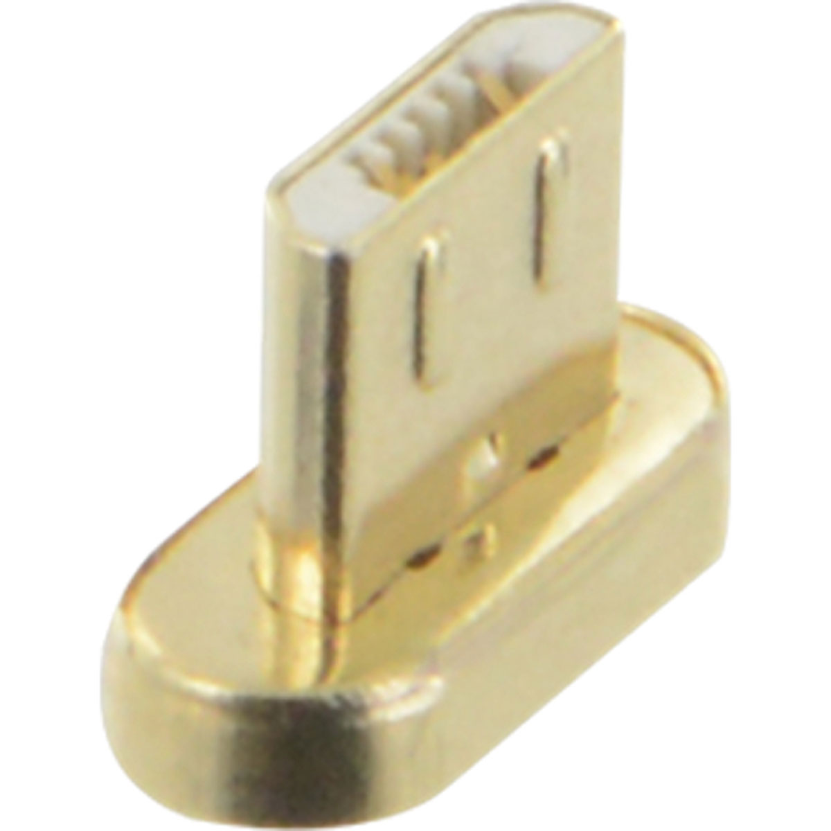 Primo piano di un connettore USB-C color oro, leggermente inclinato verso l'osservatore.