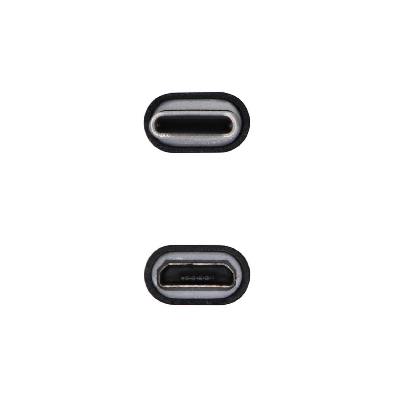 Dos vistas de un conector USB-C, superior e inferior, sobre un fondo blanco.