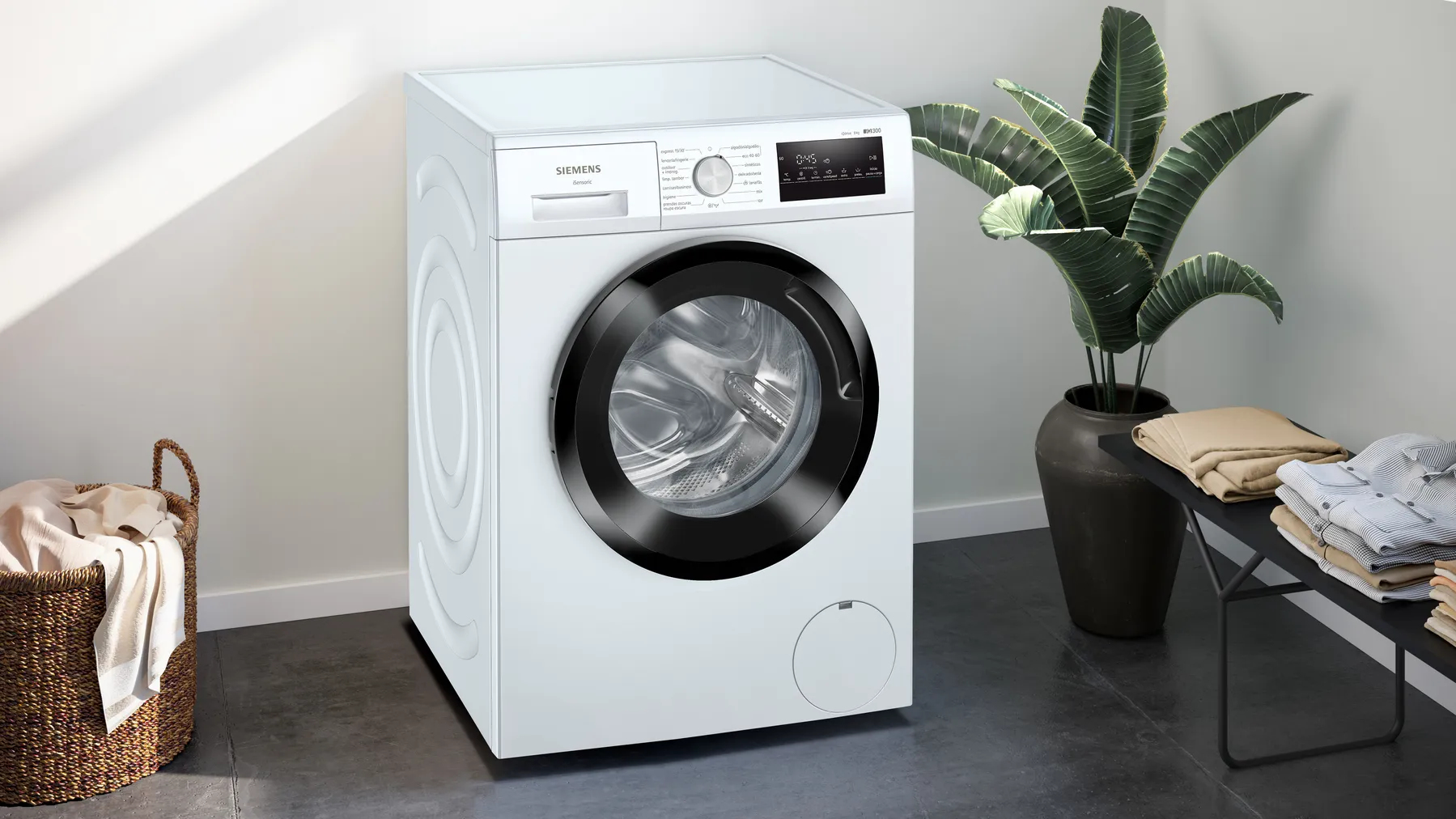 Una lavadora blanca con puerta negra, junto a una planta.