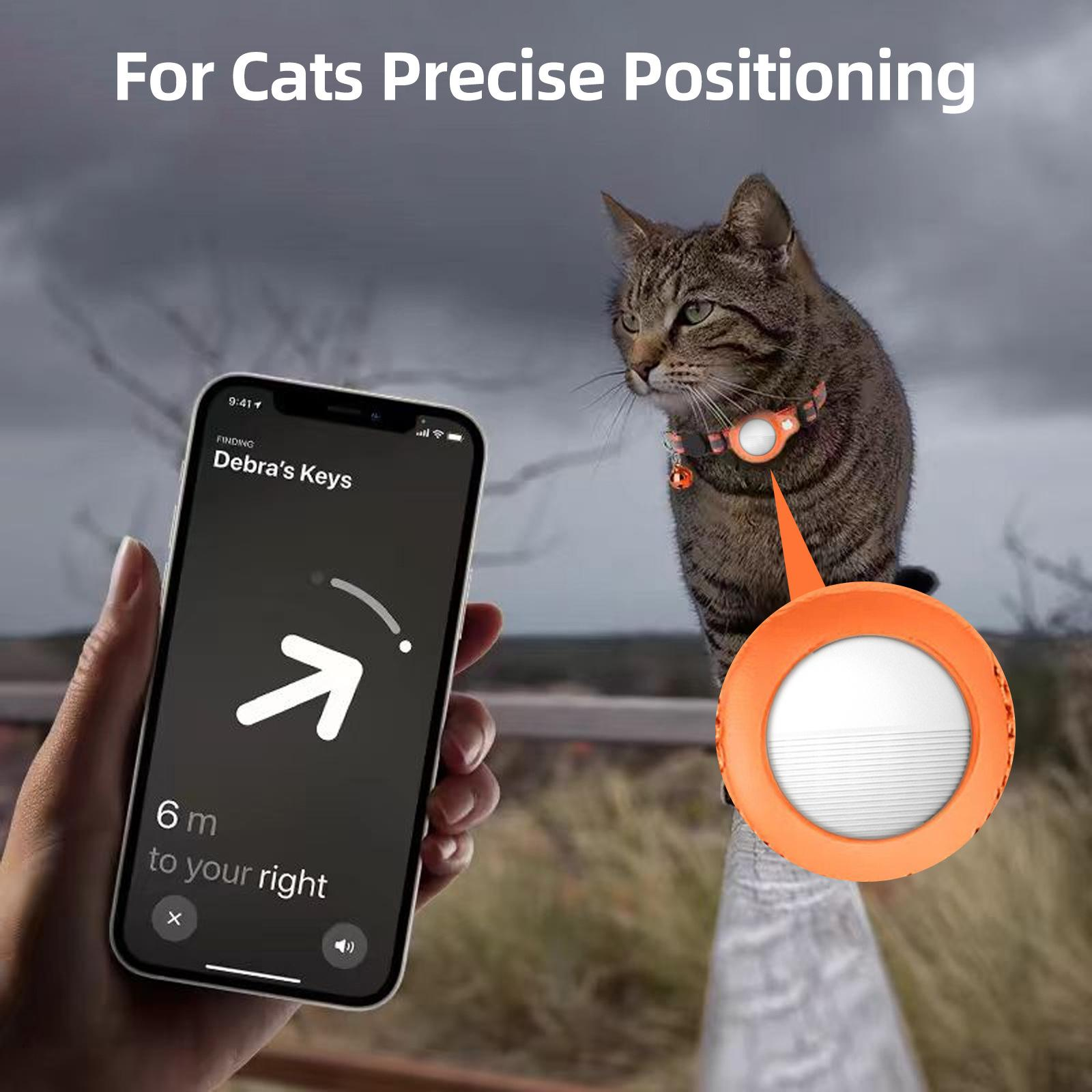 Eine Katze mit Tracker-Halsband, mit einem Telefon, das den Standort und den Tracker zeigt.