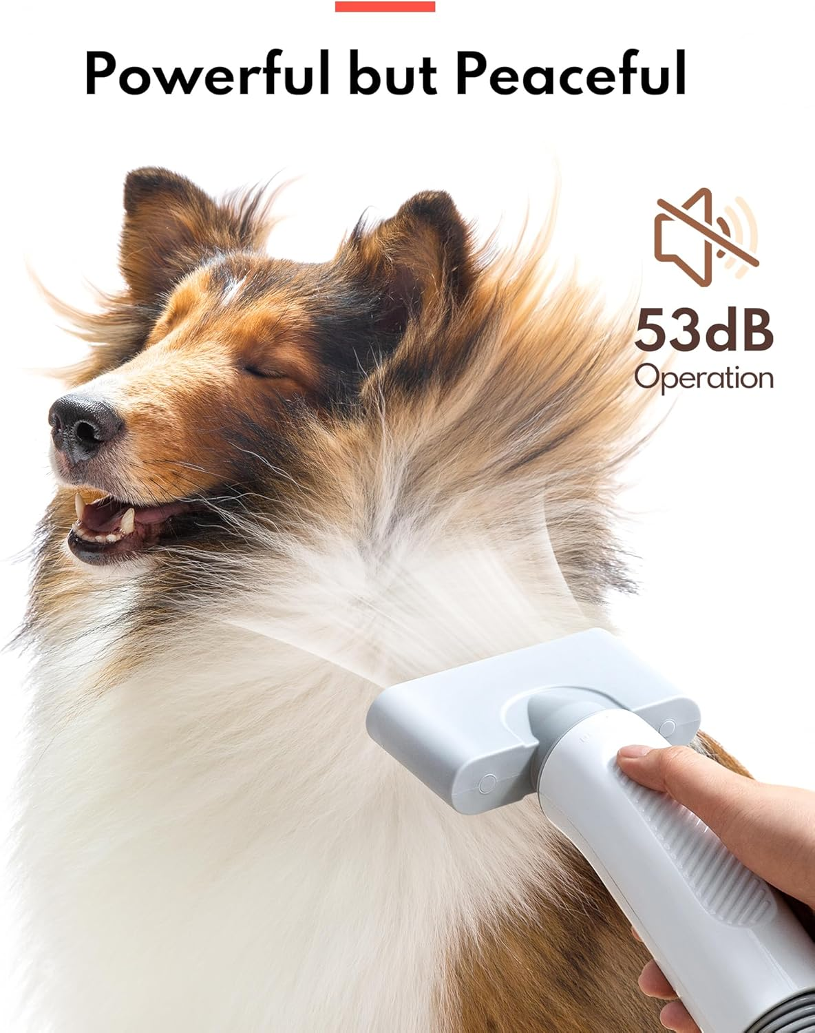 A dog is being groomed with a grooming tool. The dog has a lot of fur.