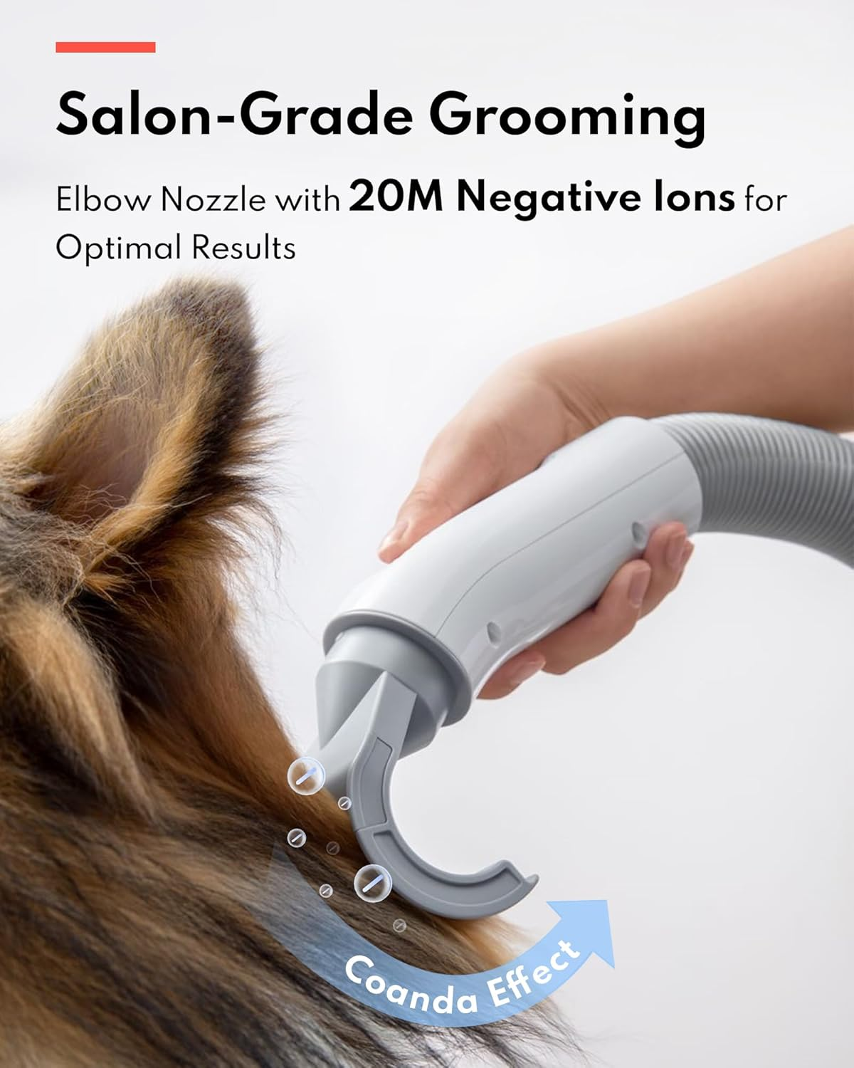 Close-up of a grooming tool on dog fur, with text and bubbles.