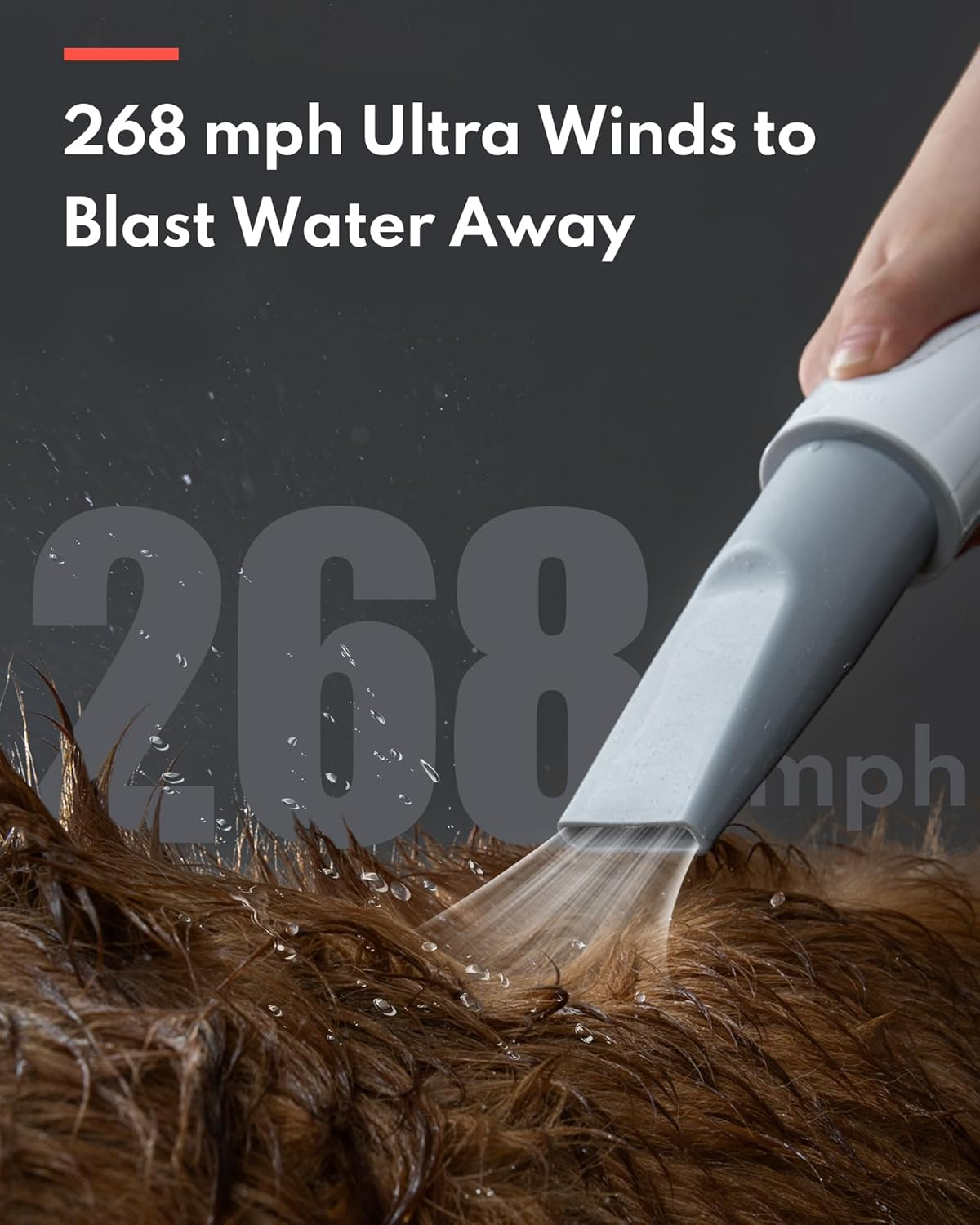 A hand directs air from a device onto a wet dog's fur, water droplets visible.