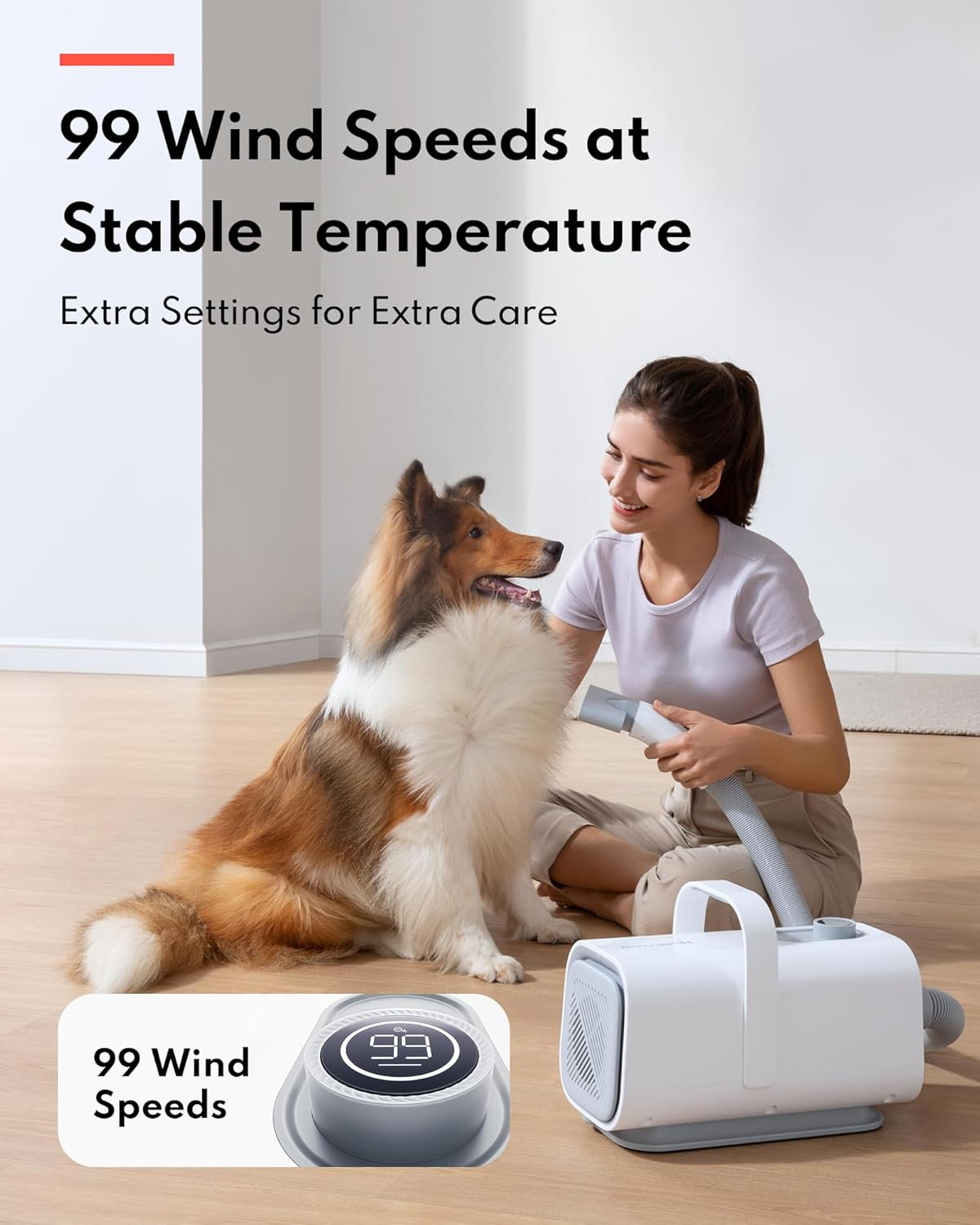 Woman using a dog grooming tool on a dog, with a digital display showing wind speed.